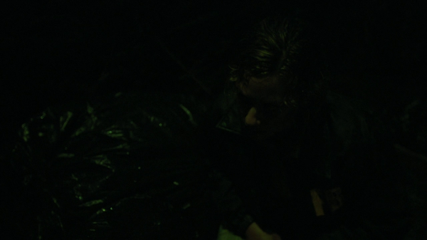 vlcsnap-00625.png
