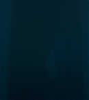 vlcsnap-00164.png