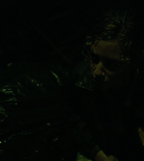vlcsnap-00627.png