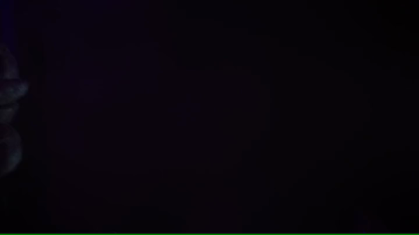 vlcsnap-01210.png