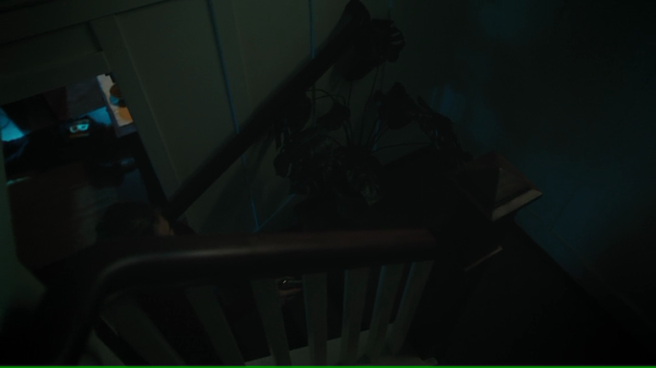 vlcsnap-01908.png