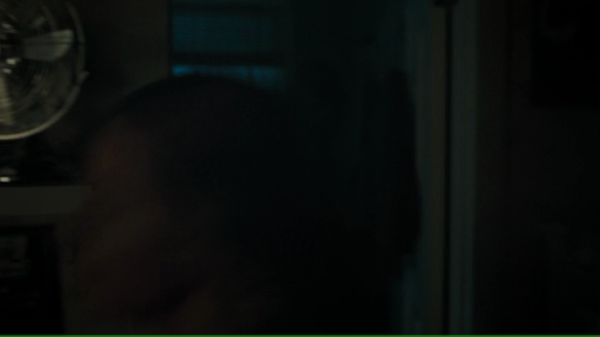 vlcsnap-01929.png
