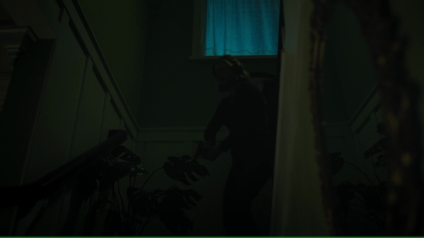 vlcsnap-01930.png