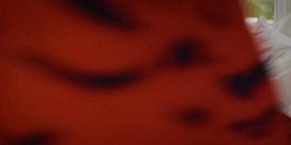 vlcsnap-01599.png
