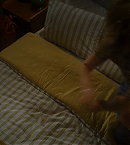 vlcsnap-00306.png