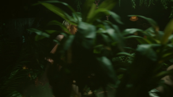 vlcsnap-00398.png