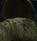 Filename=vlcsnap-00846.png
Filesize=631KiB
Dimensions=1280x720
Date added=Jun 10, 2023 vlcsnap-00846.png