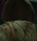 Filename=vlcsnap-00847.png
Filesize=643KiB
Dimensions=1280x720
Date added=Jun 10, 2023 vlcsnap-00847.png