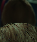Filename=vlcsnap-00850.png
Filesize=571KiB
Dimensions=1280x720
Date added=Jun 10, 2023 vlcsnap-00850.png
