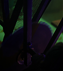 vlcsnap-01523.png