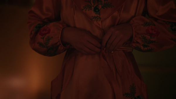 vlcsnap-00526.png