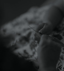 vlcsnap-00867.png