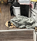 Filename=winding_down_28229.jpg
Filesize=319KiB
Dimensions=1080x1350
Date added=Jan 11, 2024 winding_down_28229.jpg