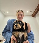 Filename=lilireinhart_1709592595_3316625537400380229_49067778.jpg
Filesize=193KiB
Dimensions=1440x1796
Date added=Mar 20, 2024 lilireinhart_1709592595_3316625537400380229_49067778.jpg
