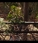 Filename=vlcsnap-00660.png
Filesize=2643KiB
Dimensions=1920x1080
Date added=Aug 15, 2025 vlcsnap-00660.png