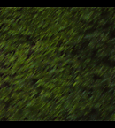 Filename=vlcsnap-00185.png
Filesize=2051KiB
Dimensions=1920x1080
Date added=Aug 15, 2025 vlcsnap-00185.png