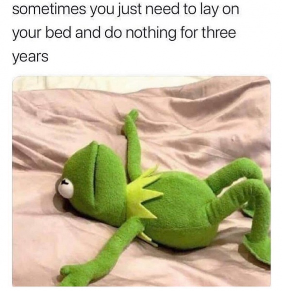 2019.01.21.
@lilireinhart: Kermit mém hétfő
