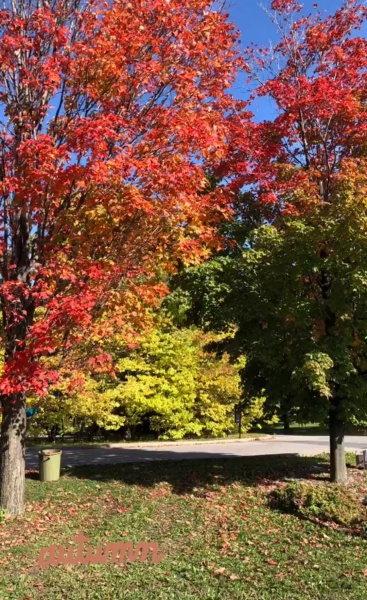 2018.10.01.
