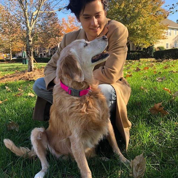 2018.11.27.
@lilireinhart: Ez a fotó annyira boldoggá tesz.

