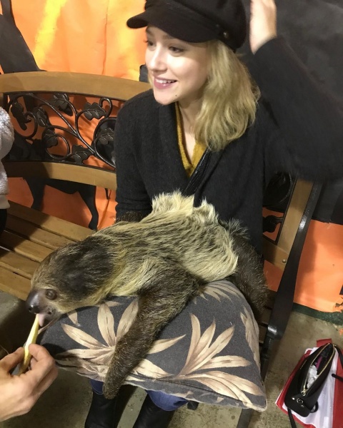 2019.12.23.
@lilireinhart: Van egy újonnan felfedezett szerelmem a lajhárok iránt. Ő itt Ignacio.
