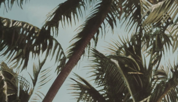 vlcsnap-00001~0.png