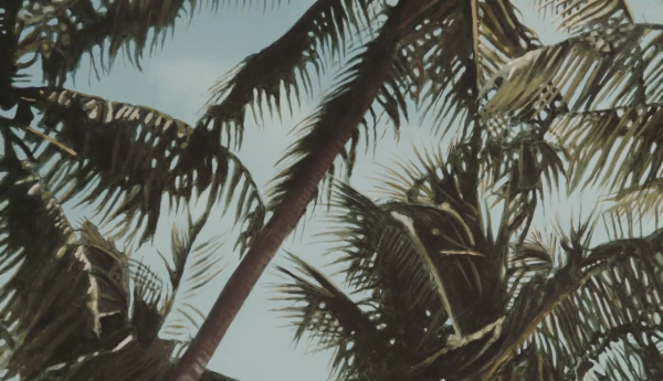 vlcsnap-00002~0.png