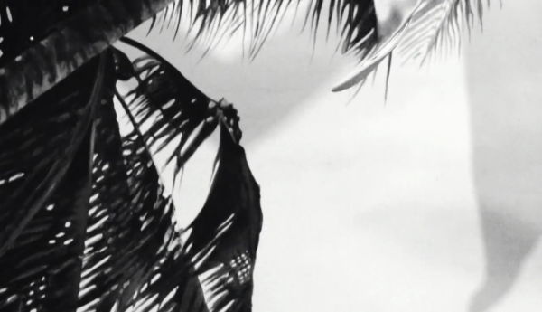 vlcsnap-00063~1.png