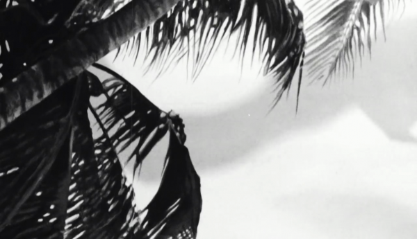 vlcsnap-00064~1.png
