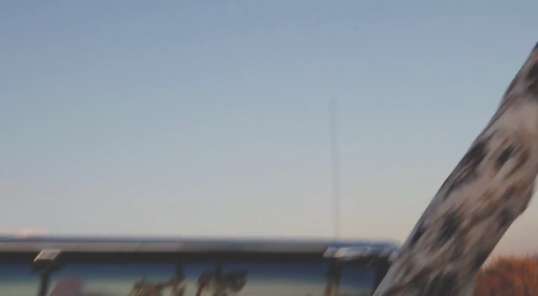 vlcsnap-00203~3.png