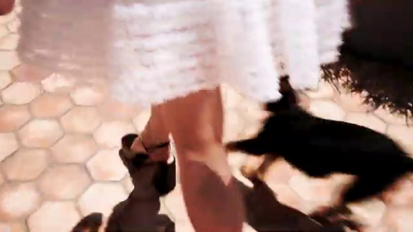 vlcsnap-00250~33.png