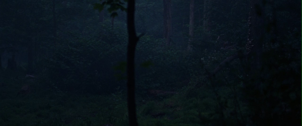 vlcsnap-00666~25.png