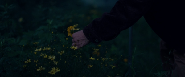 vlcsnap-00873~14.png