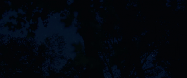 vlcsnap-00900~13.png