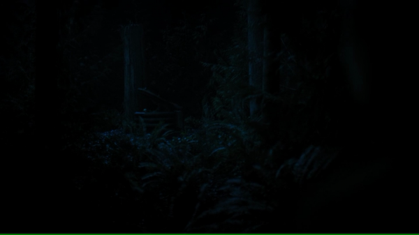 vlcsnap-01037~10.png