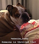 Filename=0113.jpg
Filesize=140KiB
Dimensions=1080x1920
Date added=Jan 17, 2019 0113.jpg