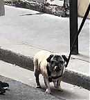 Filename=0303a.jpg
Filesize=45KiB
Dimensions=540x960
Date added=Mar 09, 2019 0303a.jpg