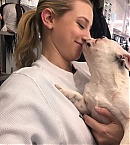 Filename=0316a.jpg
Filesize=131KiB
Dimensions=1024x1821
Date added=Mar 22, 2019 0316a.jpg