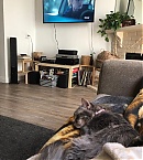 Filename=0419.jpg
Filesize=162KiB
Dimensions=1080x1920
Date added=Apr 29, 2019 0419.jpg