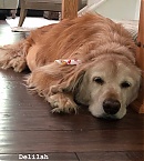 Filename=0419a.jpg
Filesize=136KiB
Dimensions=810x1440
Date added=Apr 29, 2019 0419a.jpg