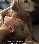 Filename=0421a.jpg
Filesize=114KiB
Dimensions=768x1365
Date added=Apr 29, 2019 0421a.jpg