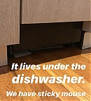 Filename=0428a.jpg
Filesize=167KiB
Dimensions=1080x1920
Date added=Apr 29, 2019 0428a.jpg
