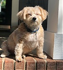 Filename=0901.jpg
Filesize=242KiB
Dimensions=1078x1754
Date added=Nov 08, 2018 0901.jpg