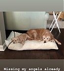 Filename=0904ab.jpg
Filesize=87KiB
Dimensions=1024x1821
Date added=Nov 08, 2018 0904ab.jpg