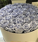 Filename=0921.jpg
Filesize=256KiB
Dimensions=1074x1768
Date added=Nov 08, 2018 0921.jpg