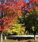 Filename=1001.jpg
Filesize=482KiB
Dimensions=1080x1763
Date added=Nov 08, 2018 1001.jpg