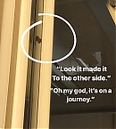 Filename=1020sn.jpg
Filesize=129KiB
Dimensions=1080x1920
Date added=Nov 08, 2018 1020sn.jpg