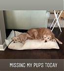 Filename=1022.jpg
Filesize=119KiB
Dimensions=1060x1634
Date added=Nov 08, 2018 1022.jpg