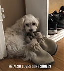 Filename=11005.jpg
Filesize=115KiB
Dimensions=810x1440
Date added=Nov 08, 2018 11005.jpg