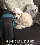 Filename=11055.jpg
Filesize=141KiB
Dimensions=810x1440
Date added=Nov 08, 2018 11055.jpg