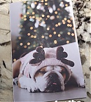Filename=1214st.jpg
Filesize=212KiB
Dimensions=1080x1920
Date added=Dec 19, 2018 1214st.jpg